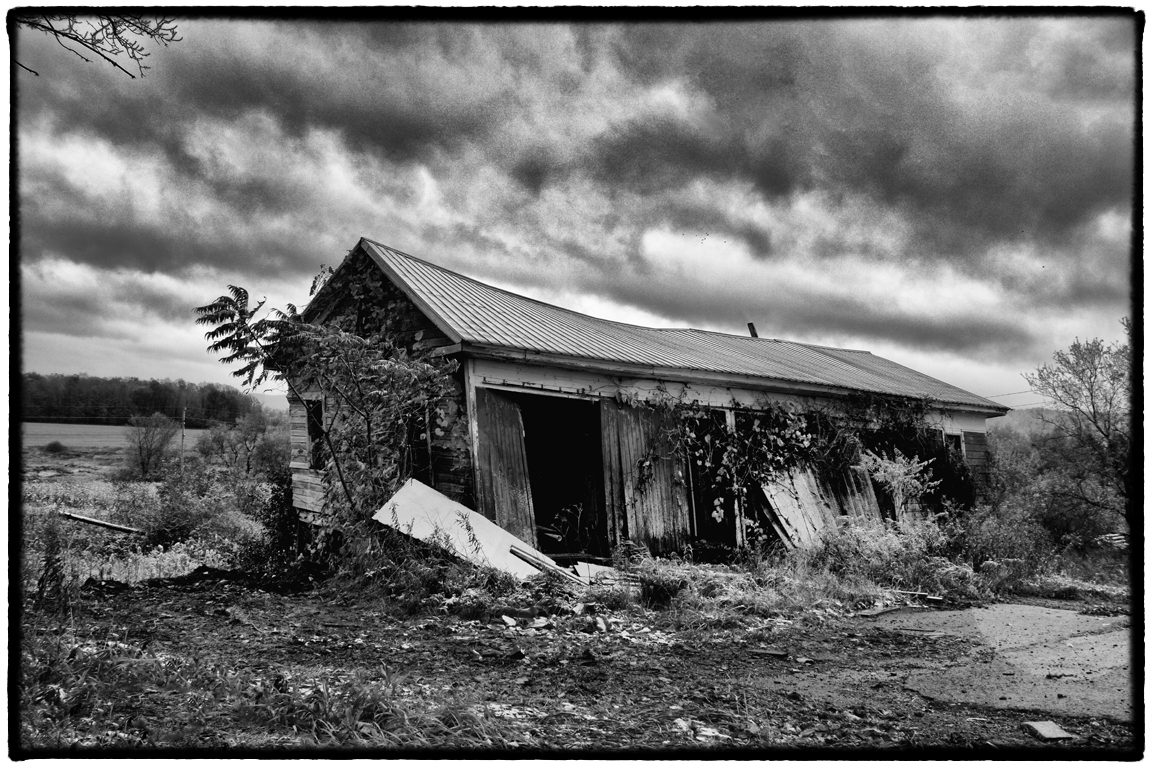 Asigned Subject In Class A By Terry Russo For Still Standing In The Storm FEB-2019.jpg